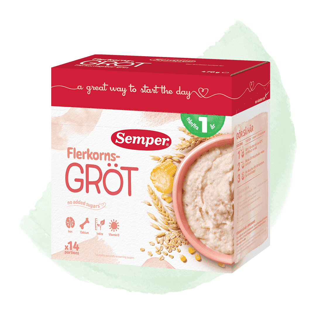 Multigrain porridge